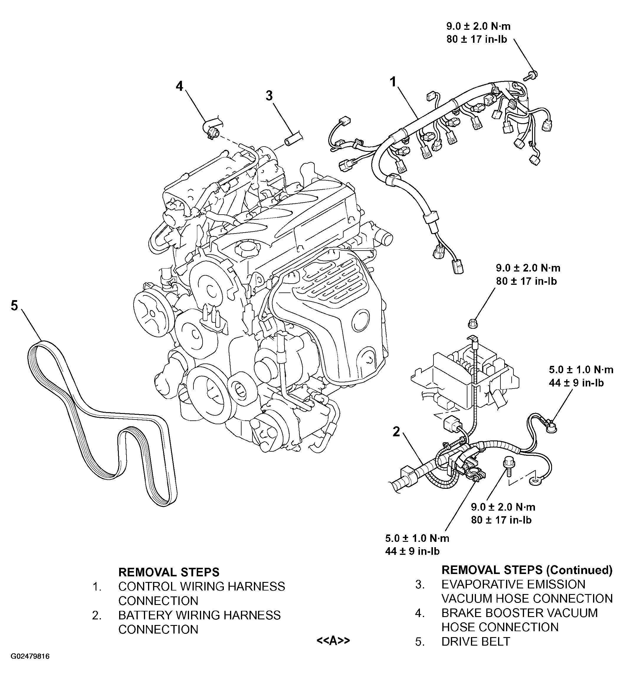G02479816
