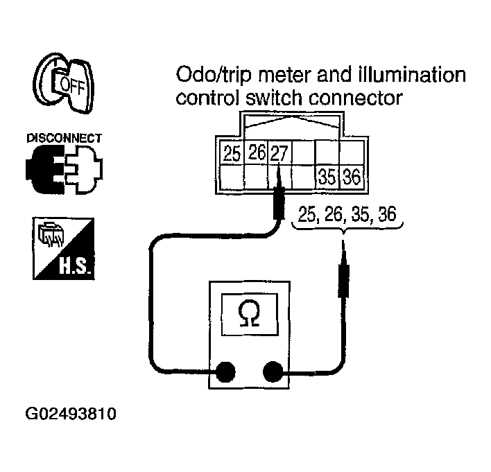 G02493810