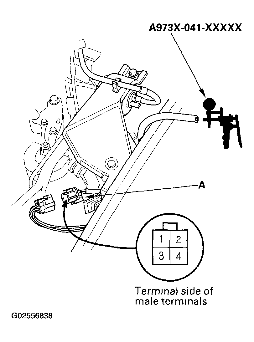 G02556838