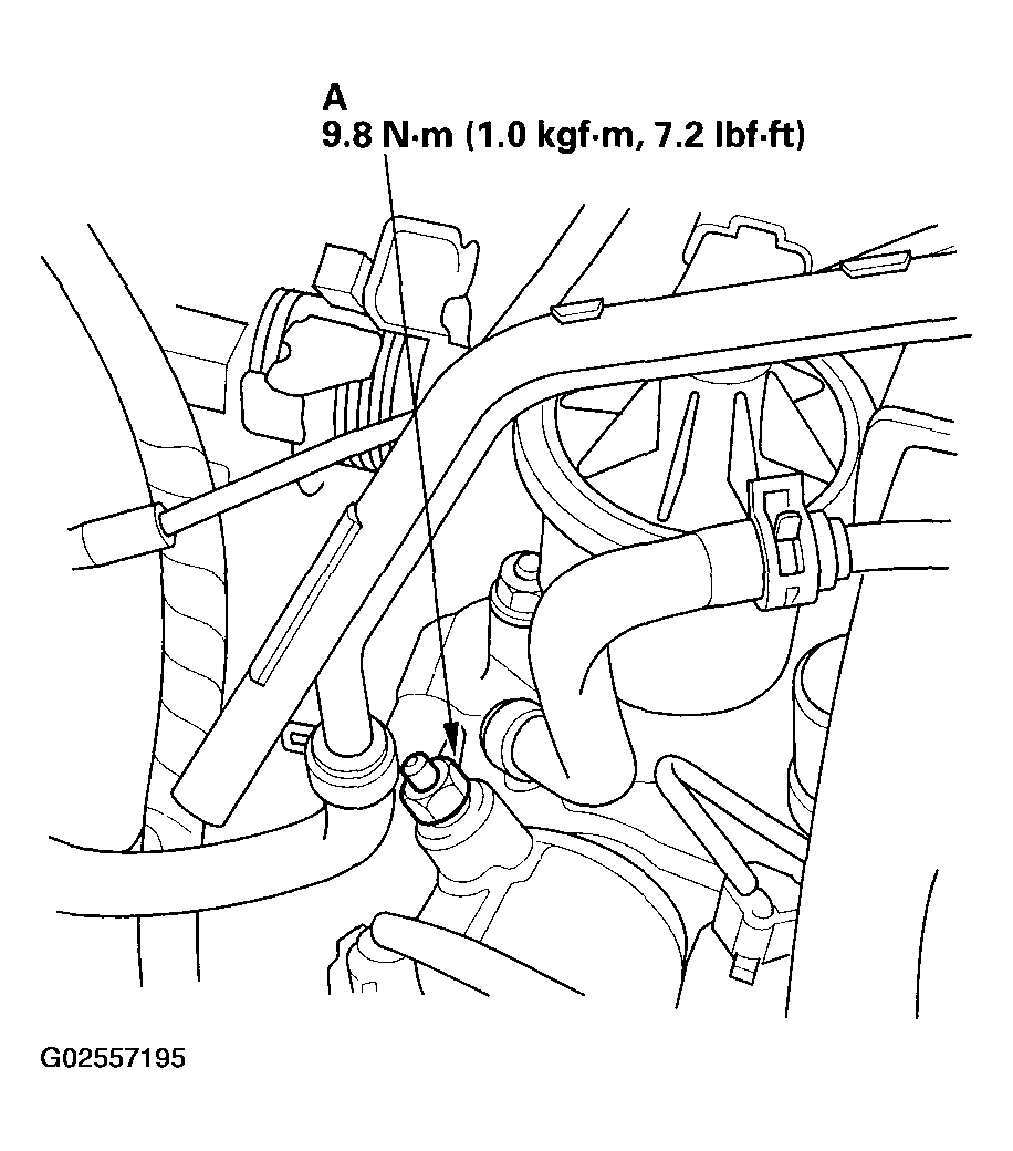 G02557195