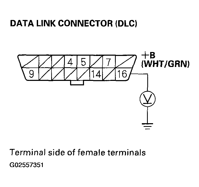 G02557351