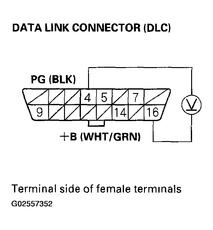 G02557352
