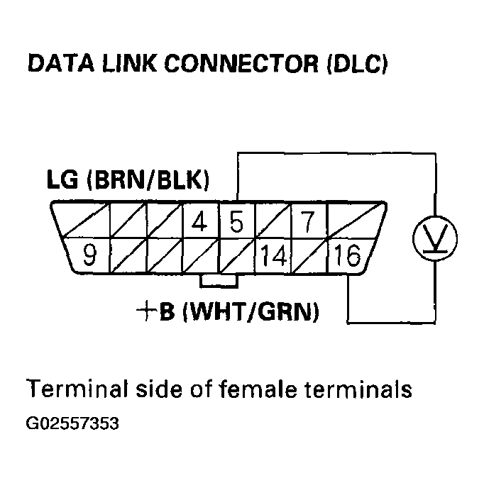 G02557353