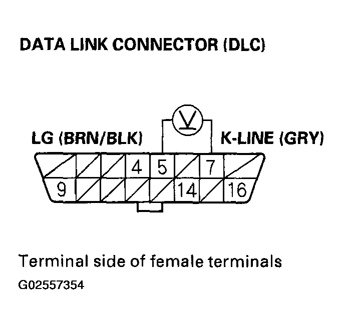 G02557354