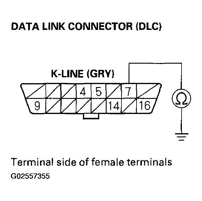 G02557355