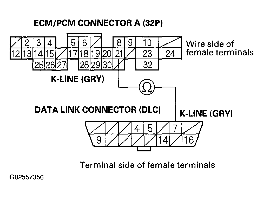 G02557356