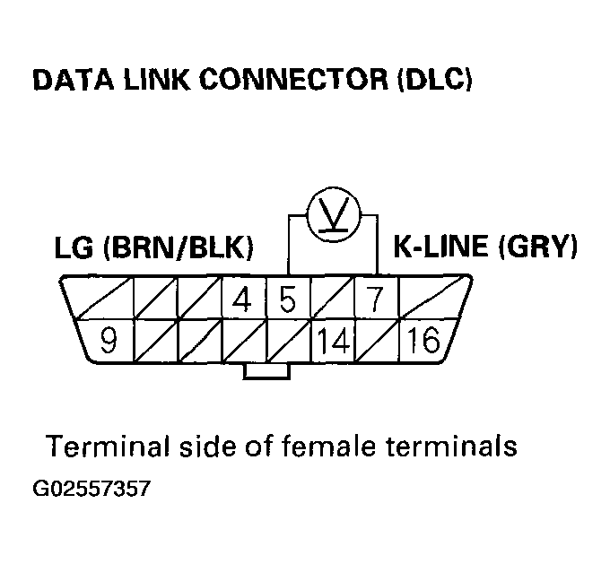 G02557357
