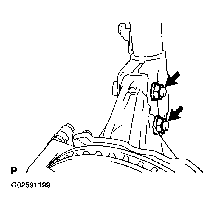 G02591199