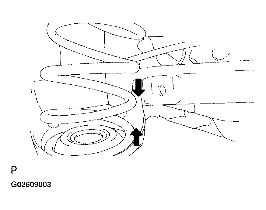 G02609003