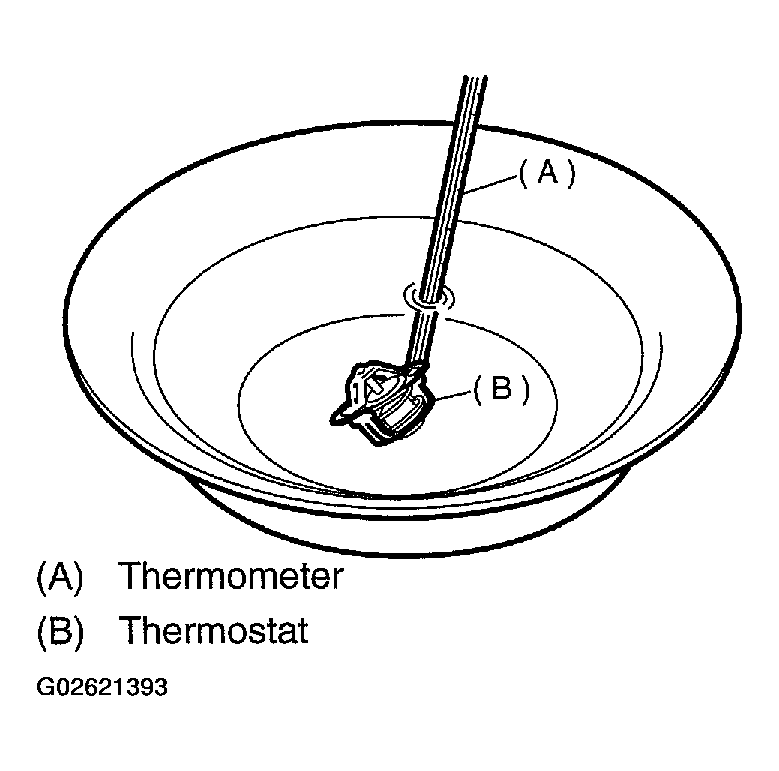 G02621393