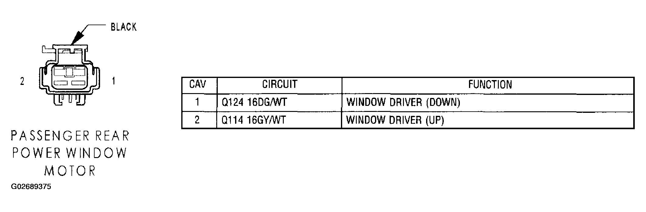 G02689375