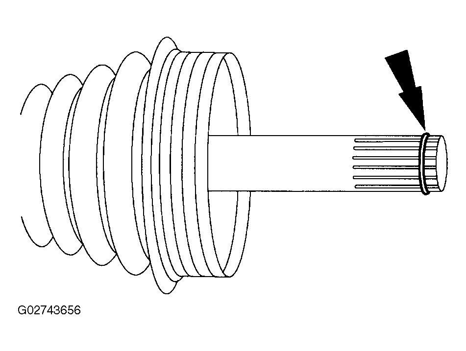 G02743656