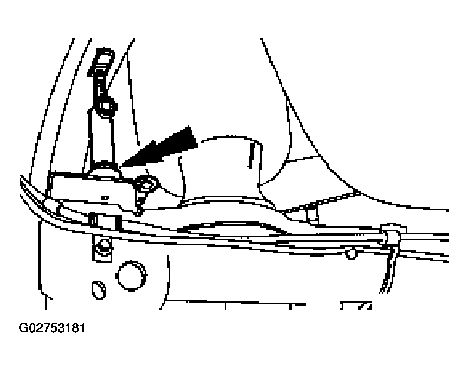 G02753181