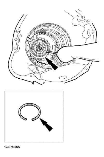 G02783897