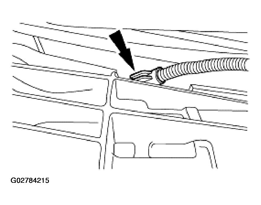 G02784215