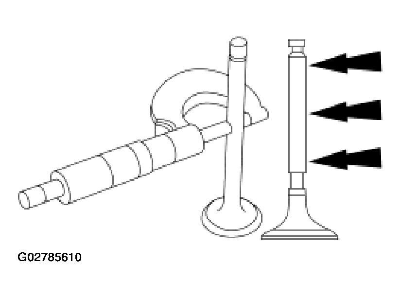G02785610