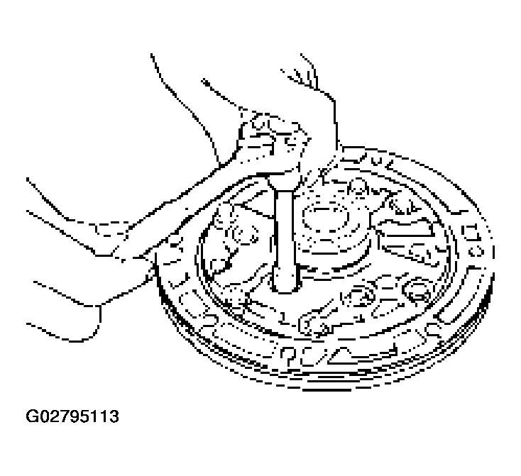 G02795113