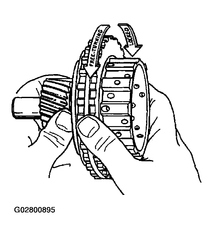 G02800895