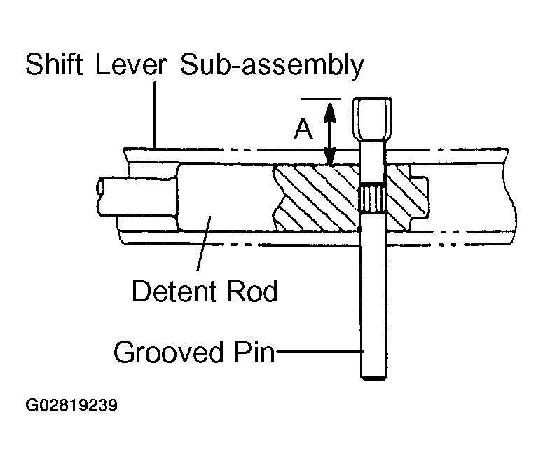 G02819239