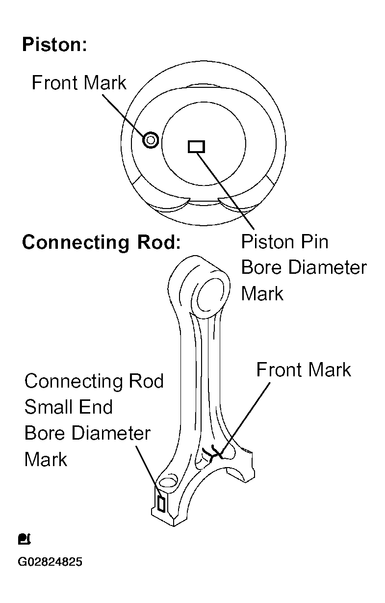 G02824825