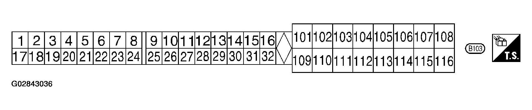 G02843036