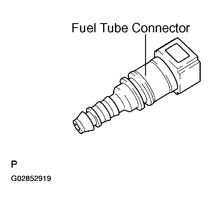 G02852919