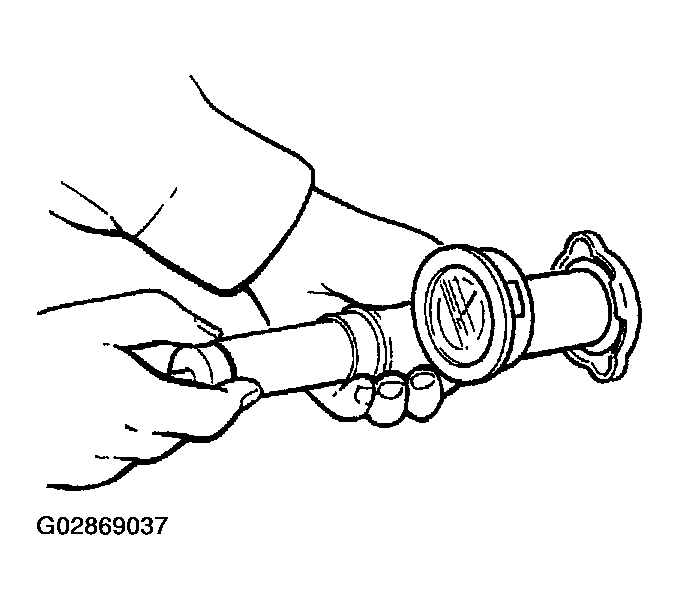G02869037