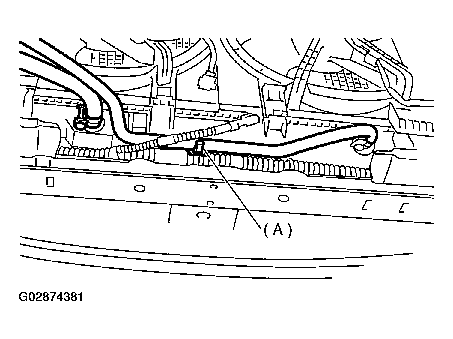 G02874381