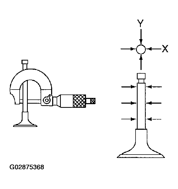 G02875368