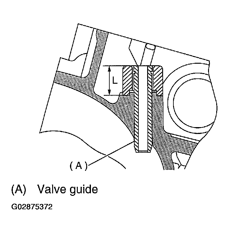 G02875372