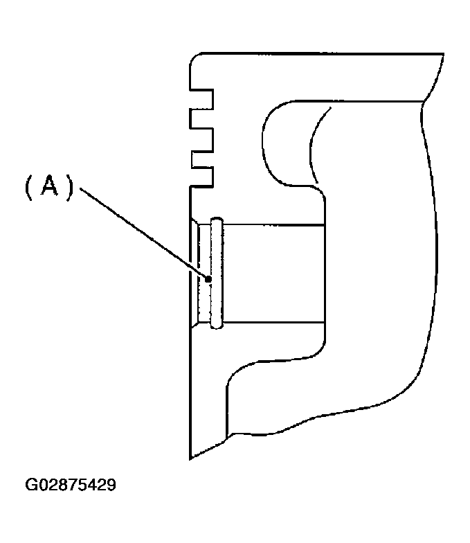G02875429