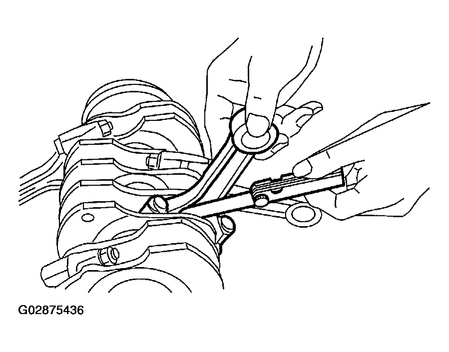 G02875436