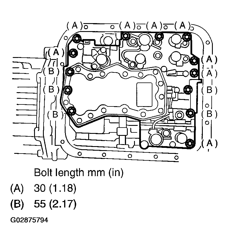 G02875794