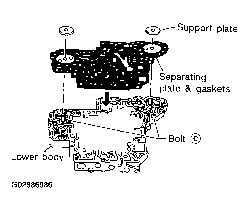 G02886986