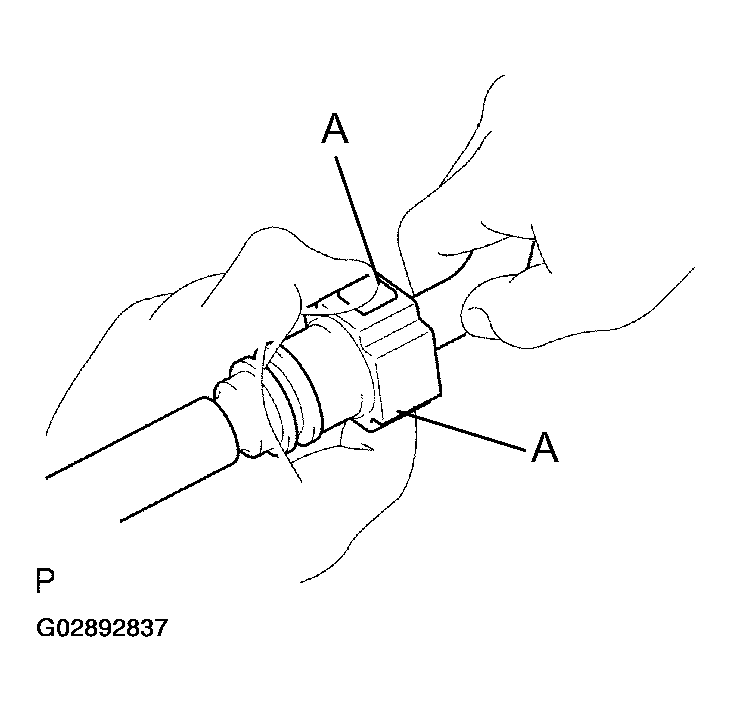 G02892837