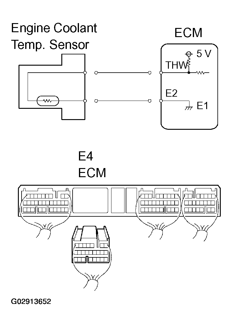 G02913652