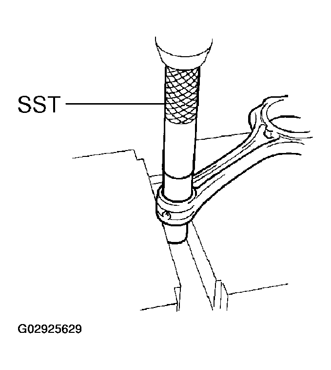 G02925629