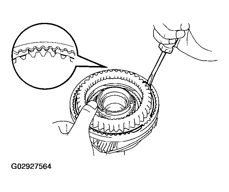 G02927564