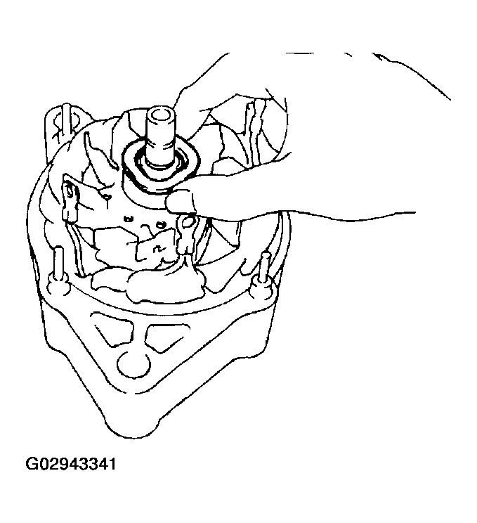 G02943341