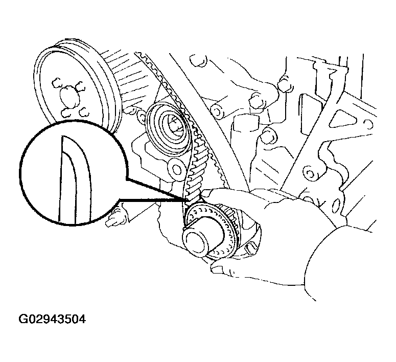 G02943504