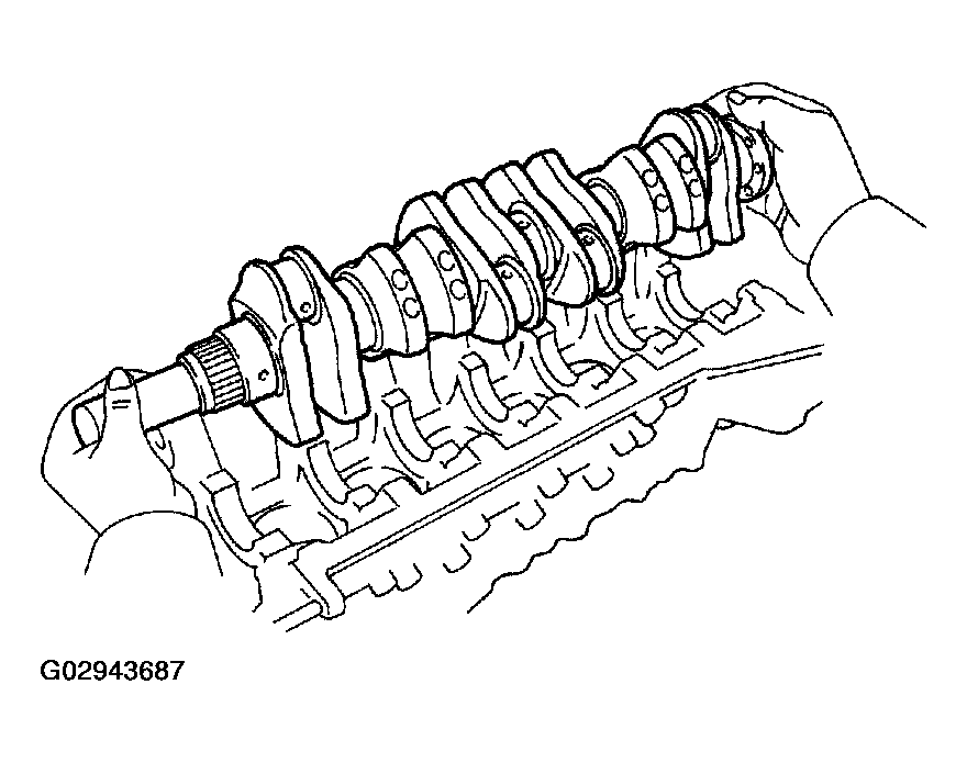 G02943687