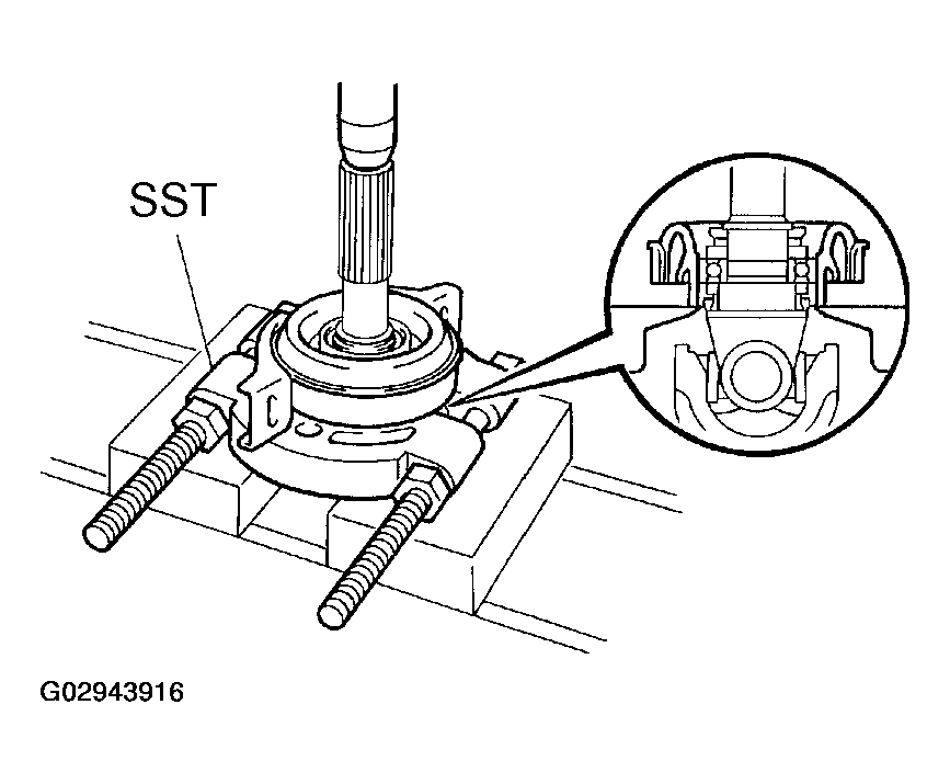 G02943916