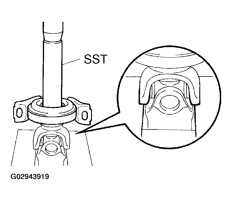 G02943919