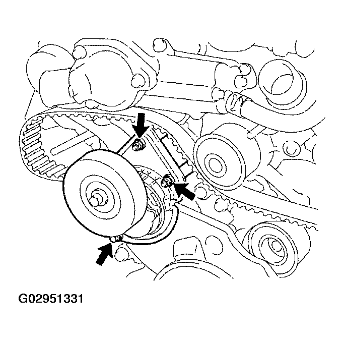 G02951331
