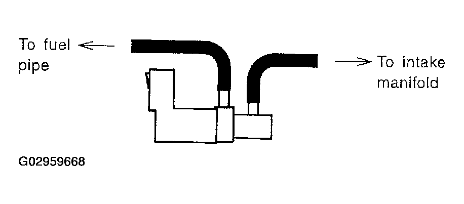 G02959668