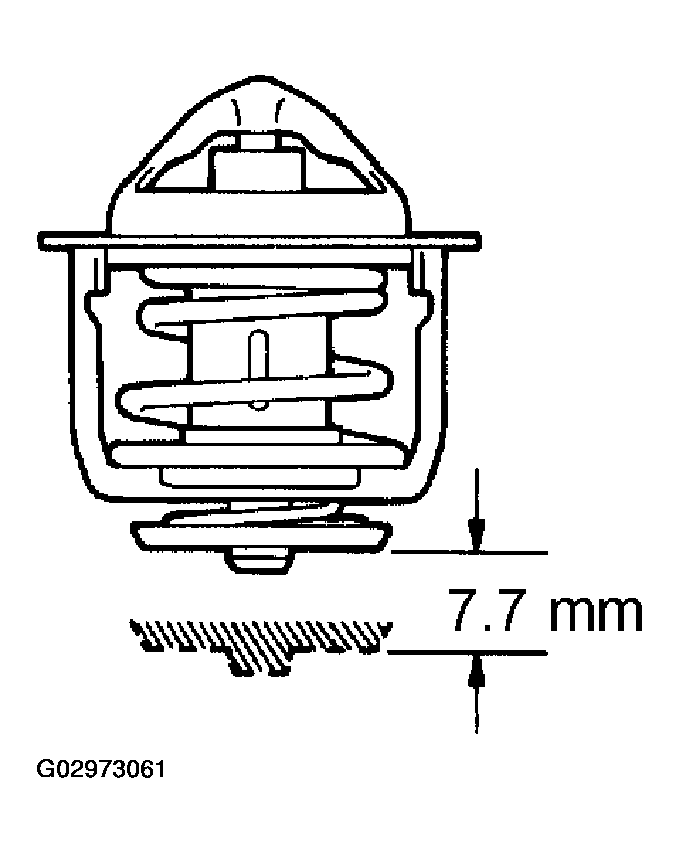 G02973061