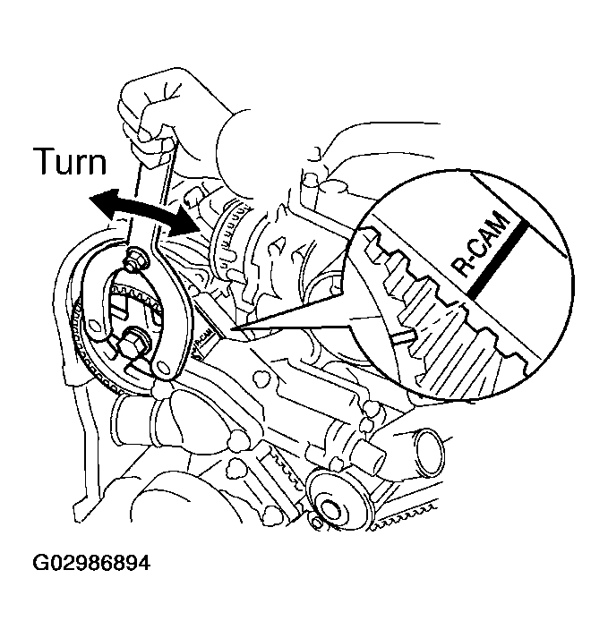 G02986894