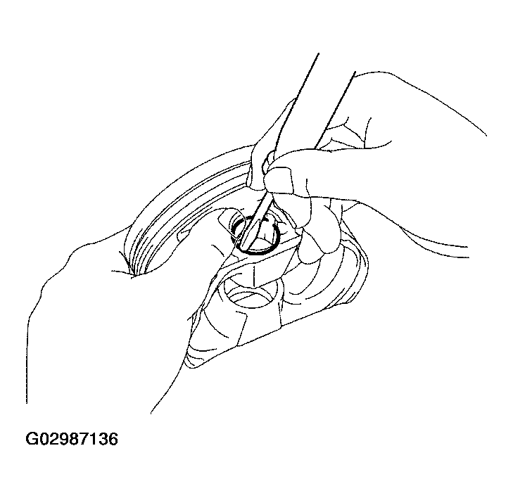 G02987136