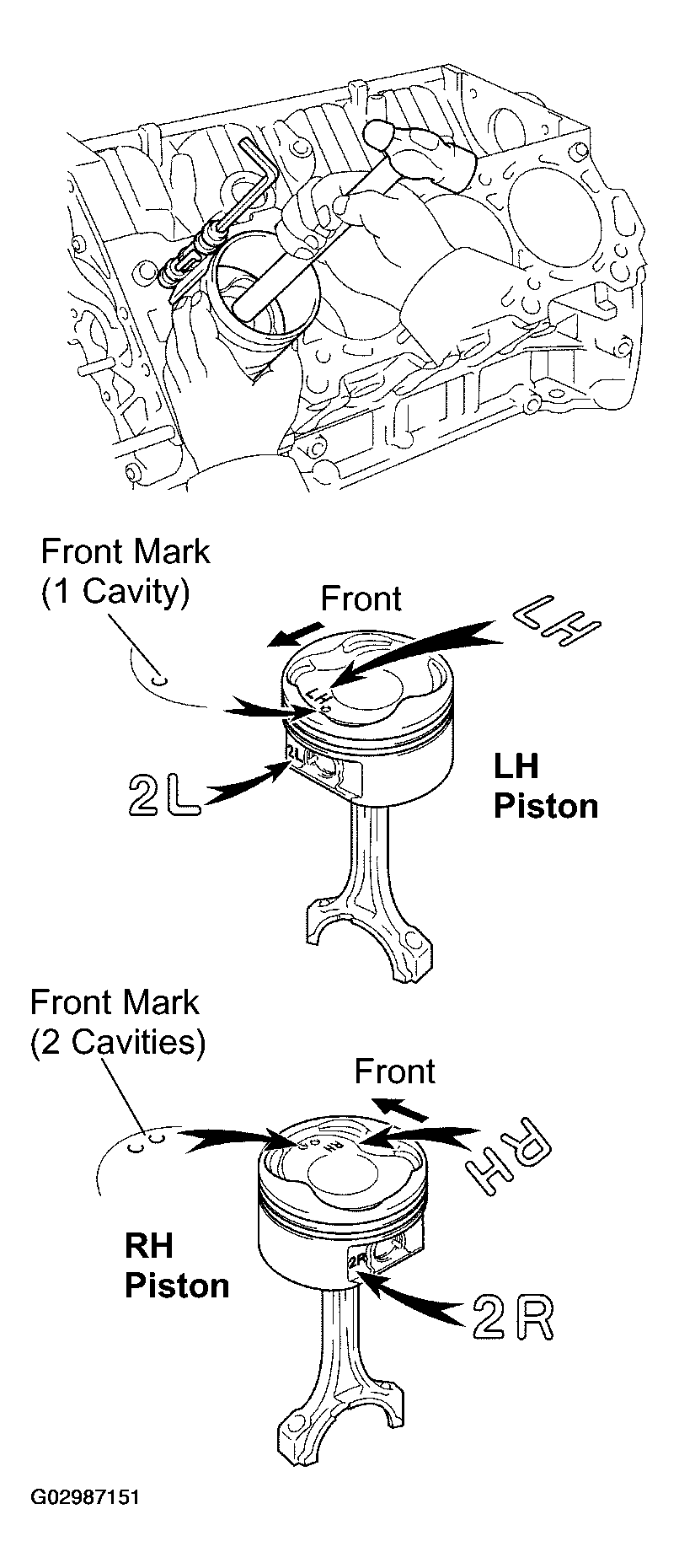 G02987151