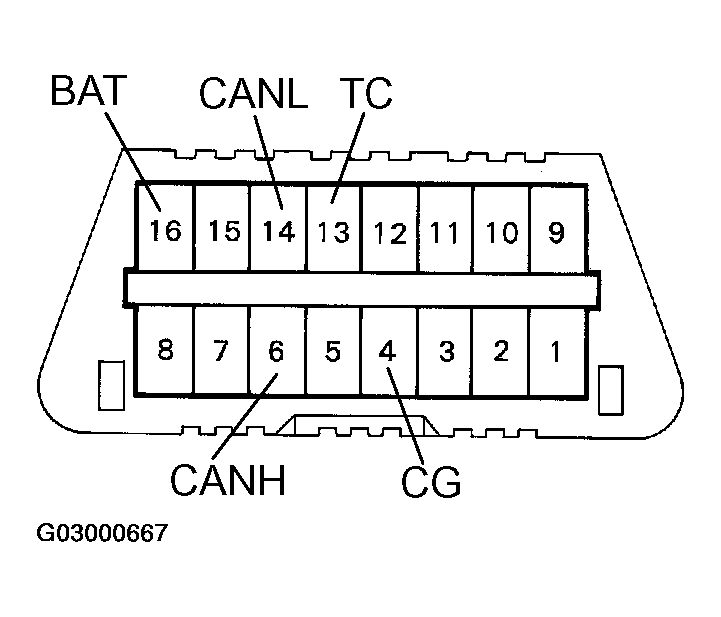 G03000667